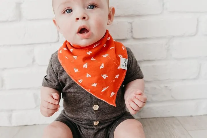 Bandana Bib, Ace