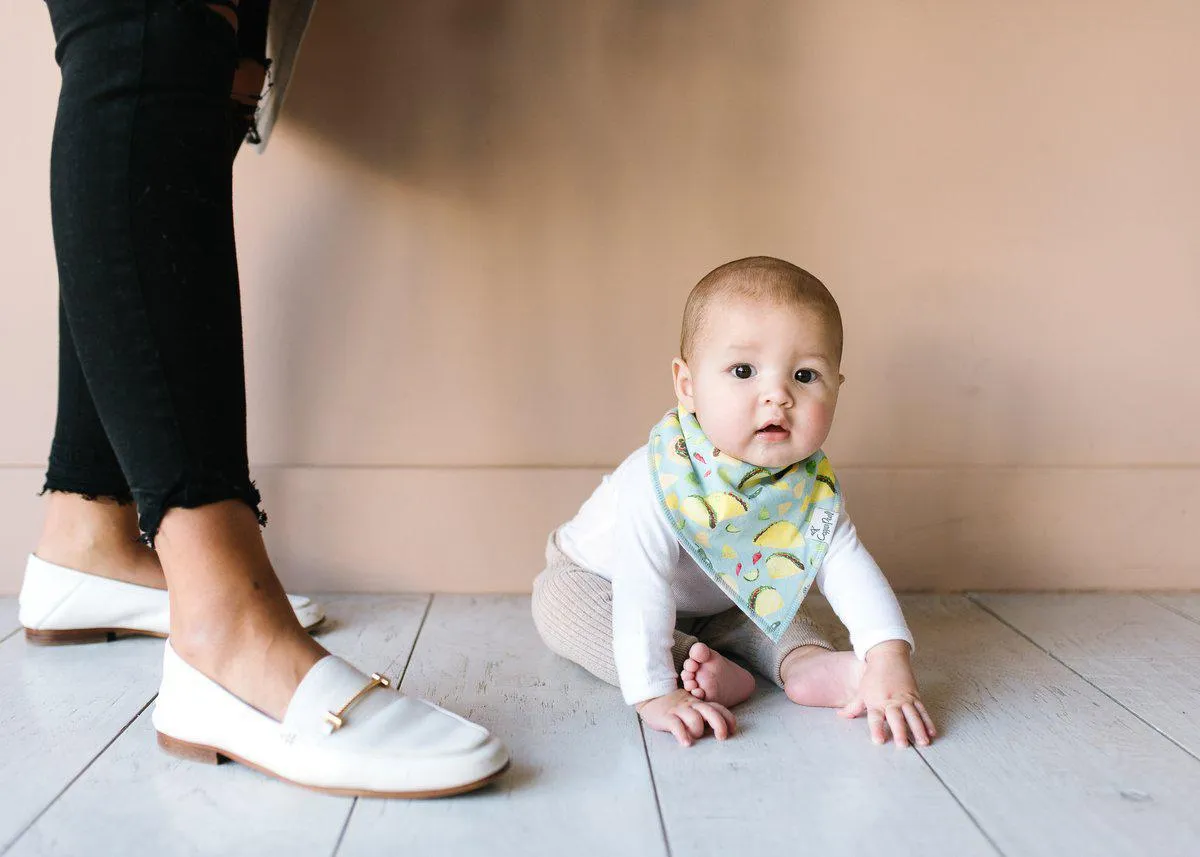 Bandana Bib, Baja