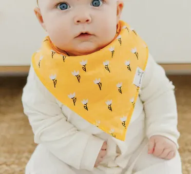 Bandana Bib, Birdie