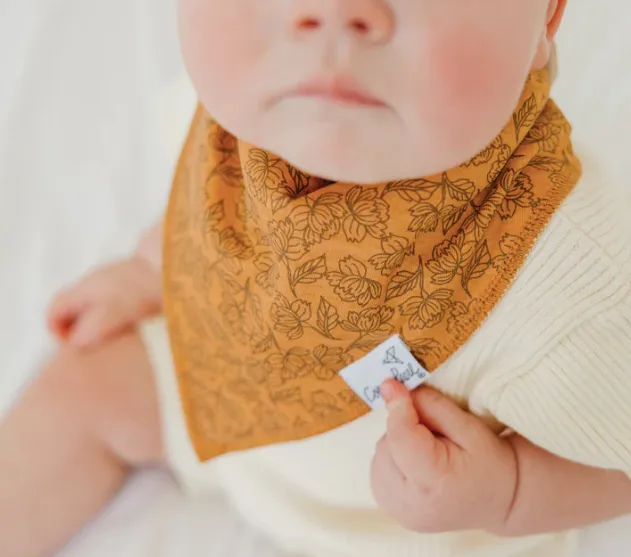 Bandana Bib, Eden