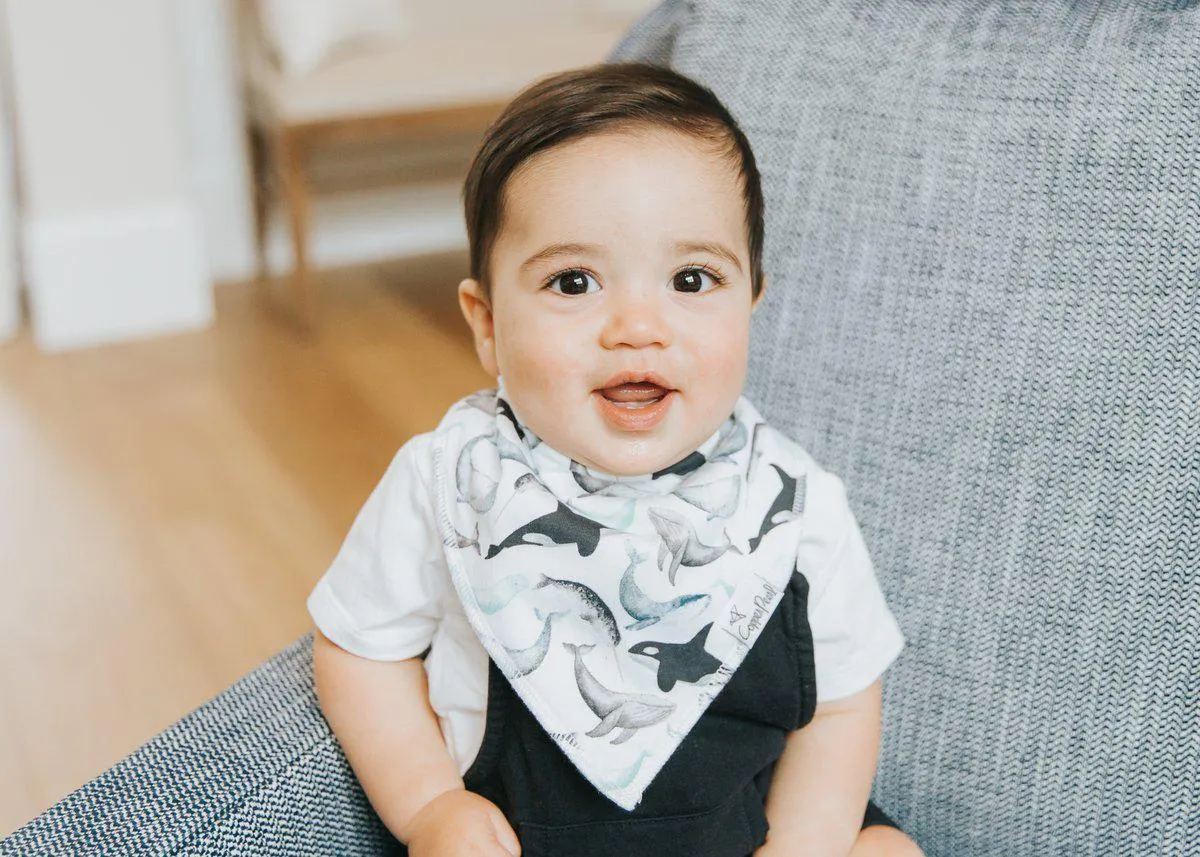 Bandana Bib, Kai