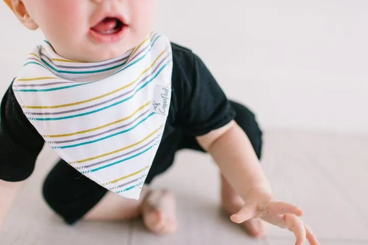 Bandana Bib, Max