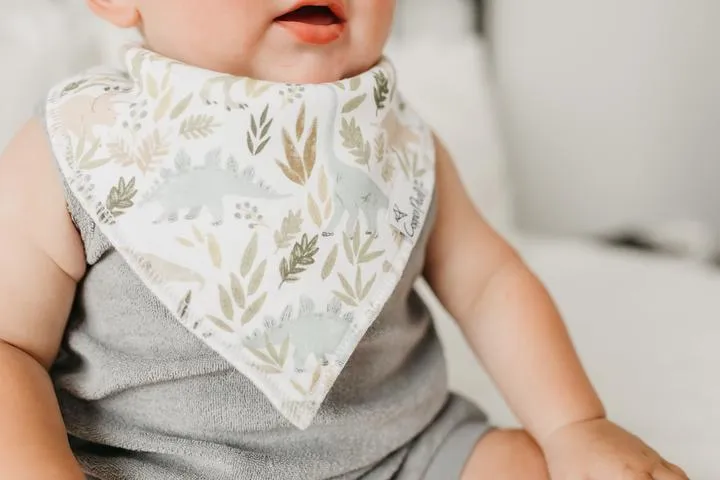 Bandana Bib, Rex