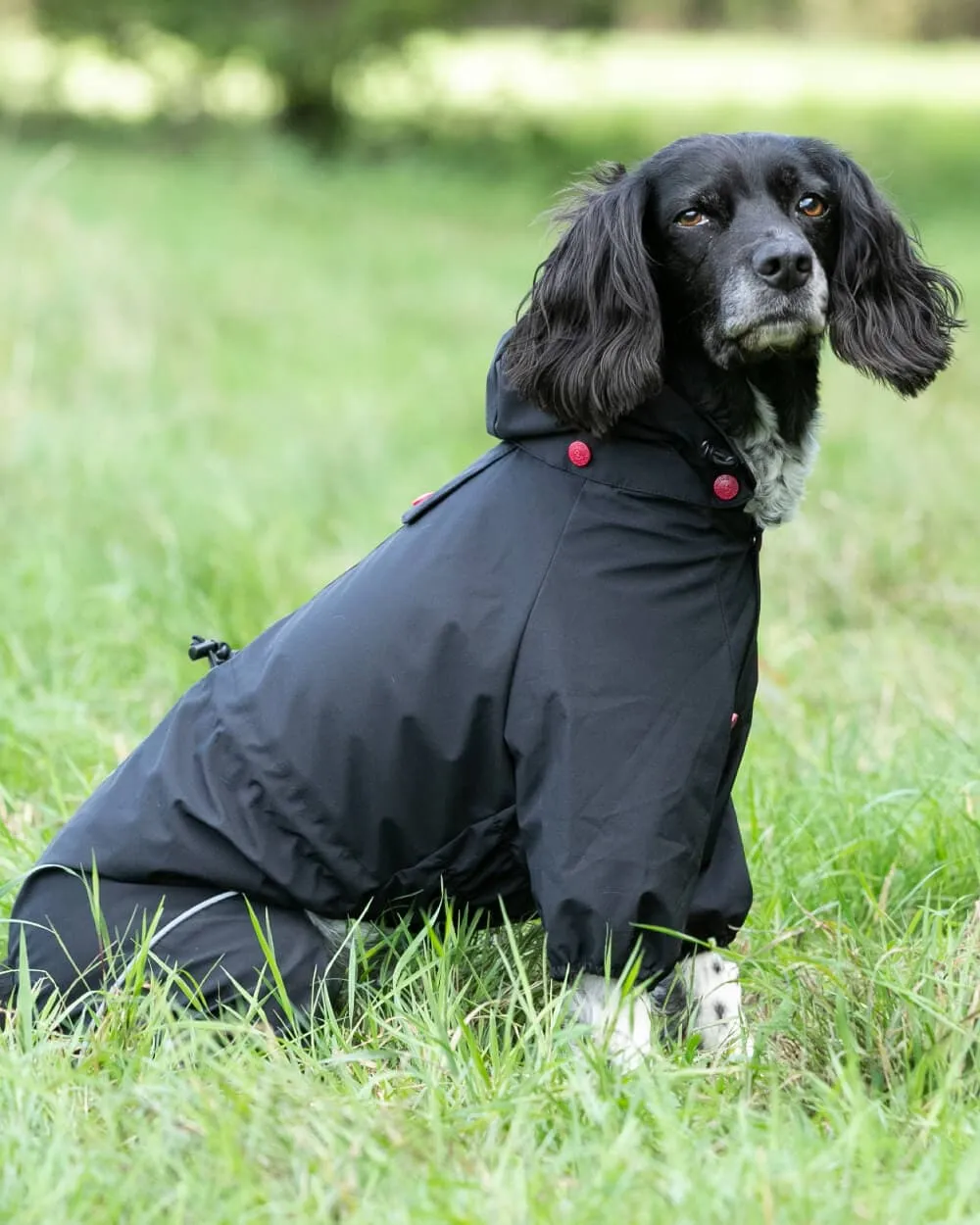 Reflective Hooded Dog Overalls - Black