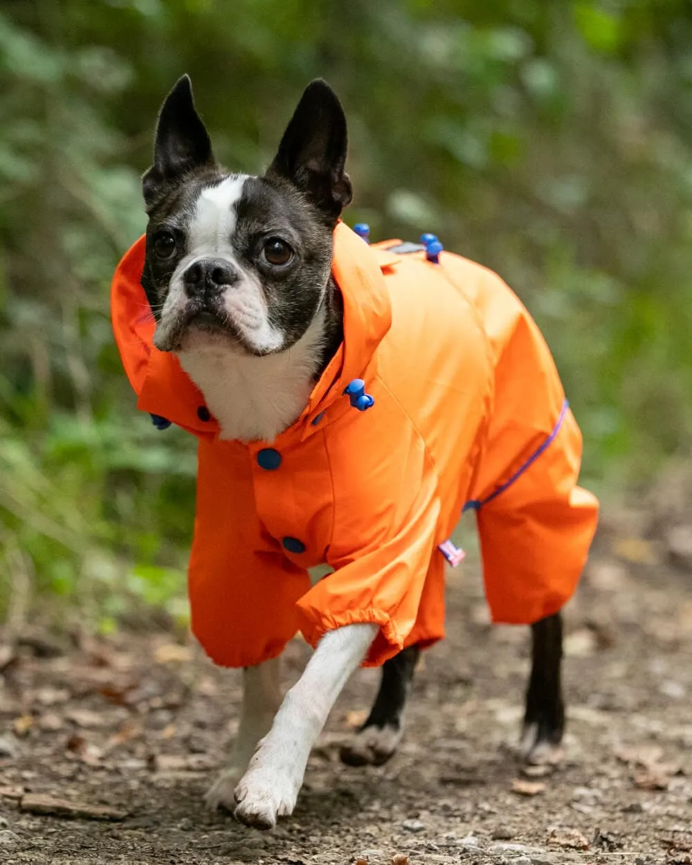 Reflective Hooded Dog Overalls - Neon Orange