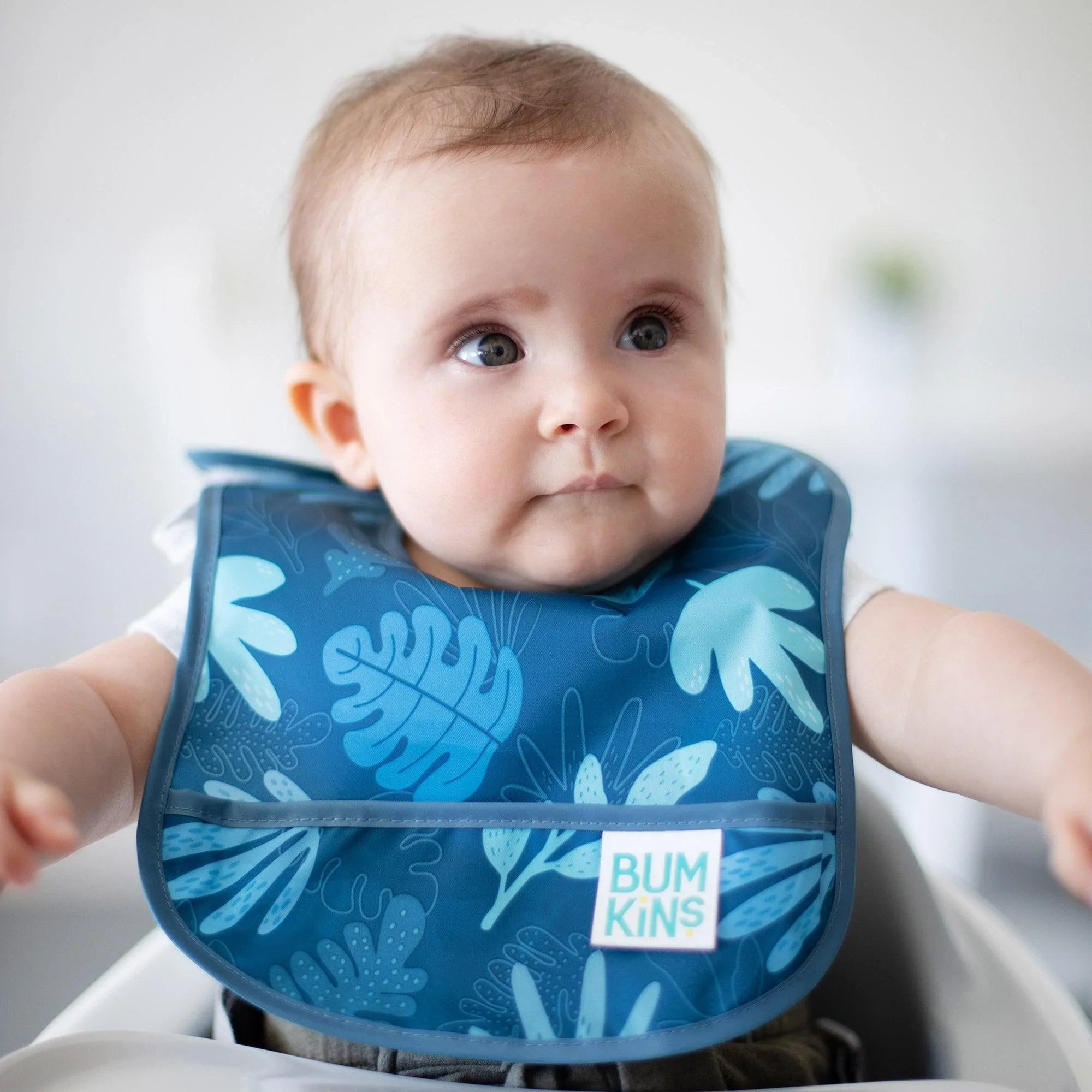 Starter Bib 2 Pack: Dinosaurs & Blue Tropic